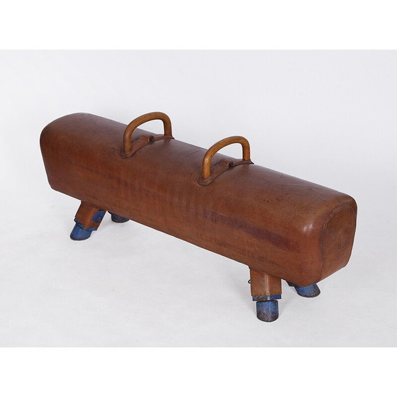 Image 1 of Vintage gymnastic leather pommel horse bench with wooden handles top, Czechoslovakia 1930s