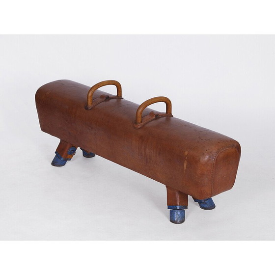 Image 1 of Vintage gymnastic leather pommel horse bench with wooden handles top, Czechoslovakia 1930s