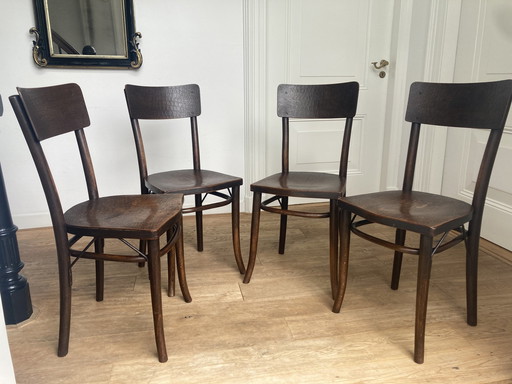 4 X Thonet Chairs With Crocodile Print