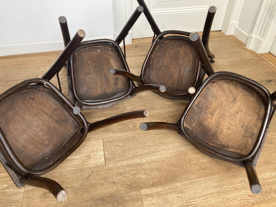 Image 1 of 4 X Thonet Chairs With Crocodile Print