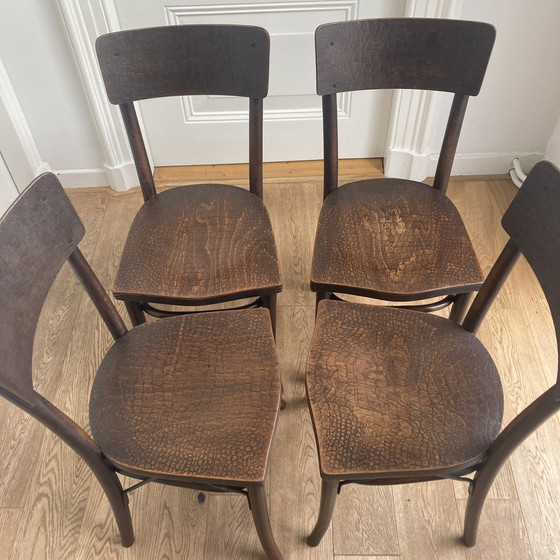 Image 1 of 4 X Thonet Chairs With Crocodile Print