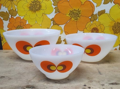 1835 Schott Jenaglas Spage Age Bowls Set