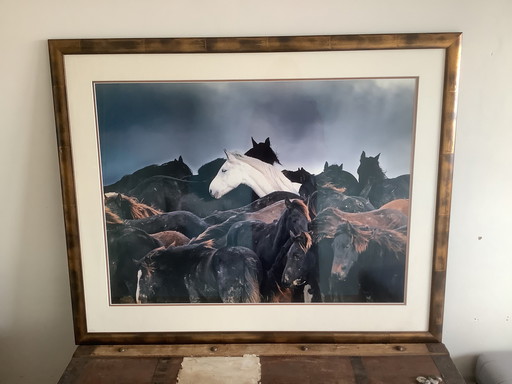 Iconic horse photo by Larens van Aaij framed