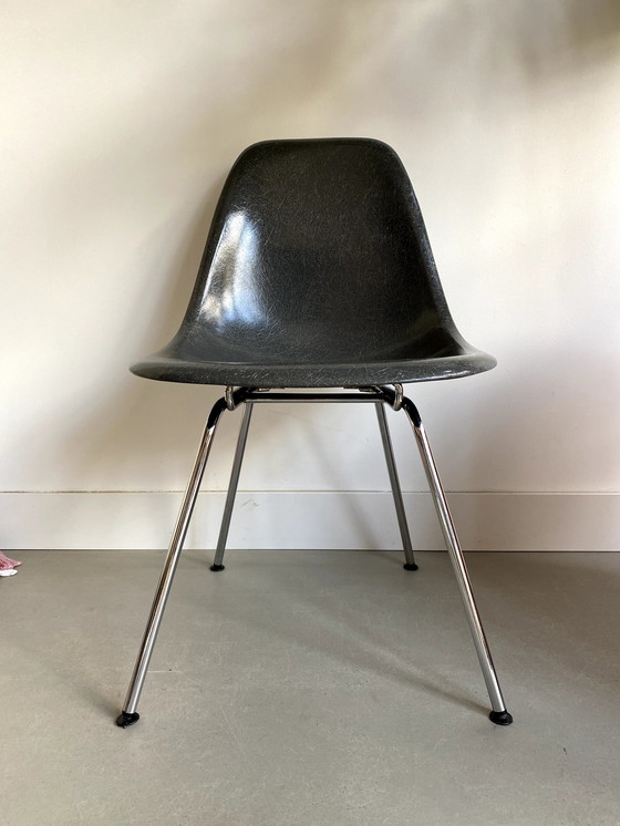 Image 1 of Herman Miller Eames in fibra di vetro Elephant Hide Gray