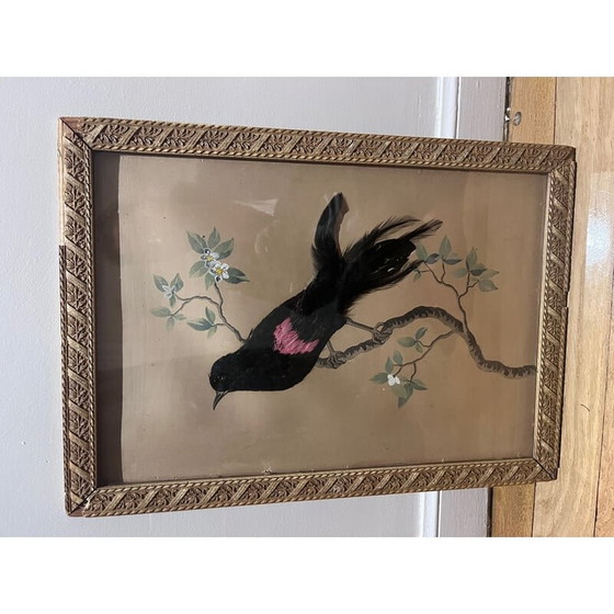 Image 1 of Illustrazione d'epoca di un uccello con collage di piume, anni '30-'40