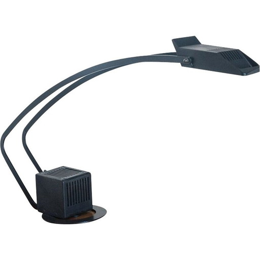 Lampada da scrivania vintage in metallo verniciato e cromato "Nutria", Spagna 1980