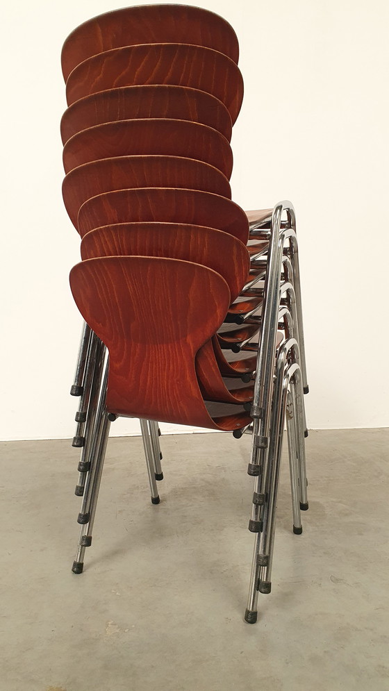 Image 1 of 8x Eromes pagholz industrial stackable design chair