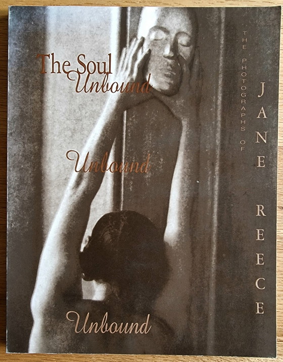 Image 1 of The soul unbound