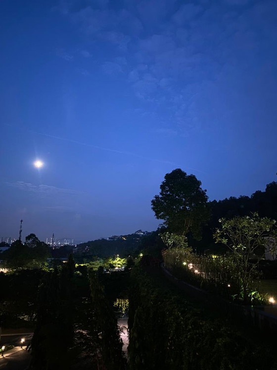 Image 1 of 4x Bert Plantagie James dining room chair