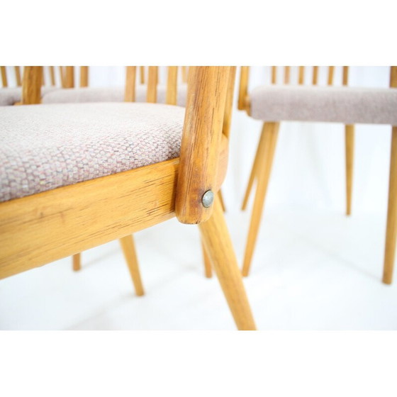 Image 1 of Set of 4 vintage oakwood dining chairs by Antonin Suman, Czechoslovakia 1970s