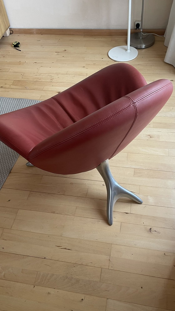 Image 1 of Leolux Papageno Chair