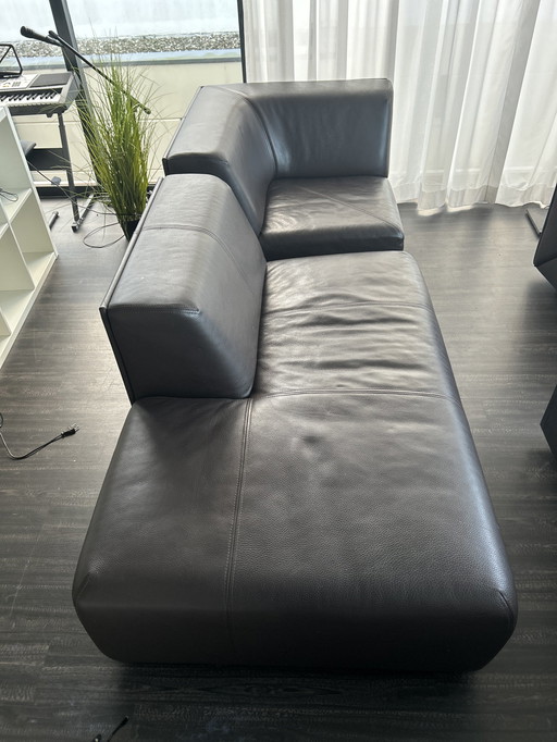 Rolf Benz Modular Sofa