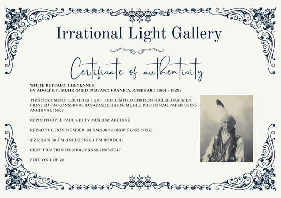 Image 1 of Adolph F. Muhr (morto nel 1913), Frank A. Rinehart (1861 - 1928) - White Buffalo, Cheyenne (1898)