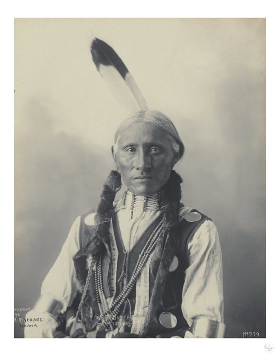 Image 1 of Adolph F. Muhr (morto nel 1913), Frank A. Rinehart (1861 - 1928) - White Buffalo, Cheyenne (1898)