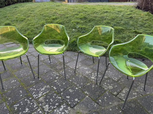 4X Papatya Opal Armchair