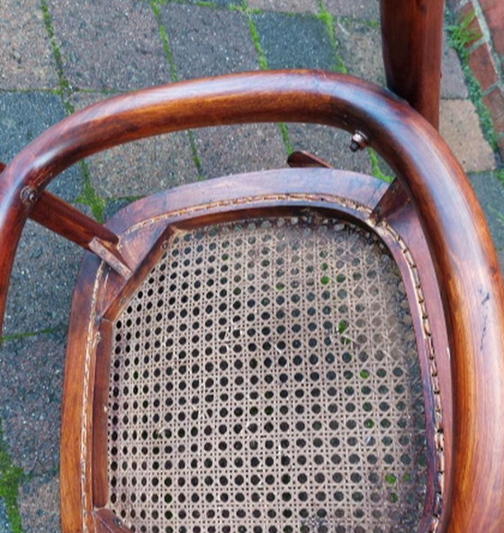 Image 1 of 2 sedie Thonet n. 91