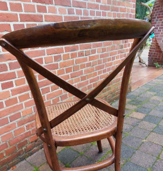 Image 1 of 2 sedie Thonet n. 91
