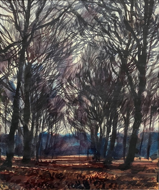 Paysage forestier de Beint Mankes 1982