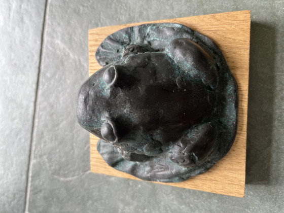 Image 1 of Bronze frog