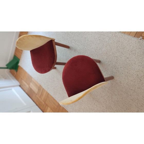 Image 1 of Pair of vintage chairs covered in red and yellow velvet, Italy 1960