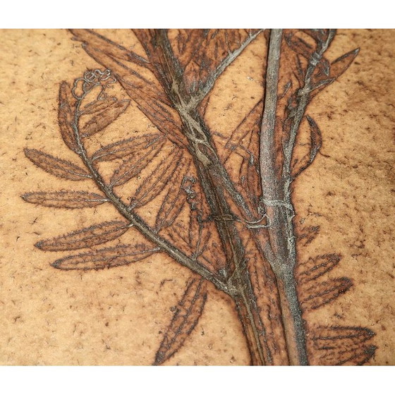 Image 1 of Vintage ceramic coffee table from Vallauris by R. Capron, France 1960