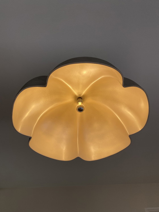 Image 1 of Lampe Pearl One par Cock Springer