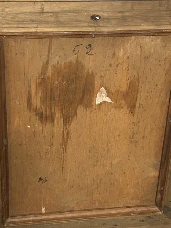 Image 1 of 2 Dipinti Constant De Busschere (Pendente) "Ritratti di cavalli"