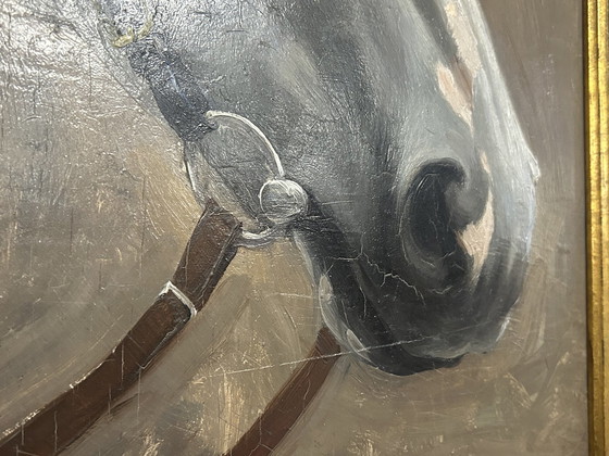 Image 1 of 2 Dipinti Constant De Busschere (Pendente) "Ritratti di cavalli"