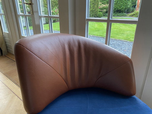 Leolux Kikko In Very Beautiful Color Scheme Leather/Alcantara