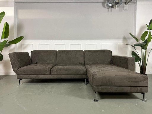 Brühl Moule corner sofa designer sofa couch delivery