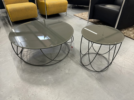 Image 1 of Rolf Benz 8770 Coffee Table Set Umbra Gray Glass