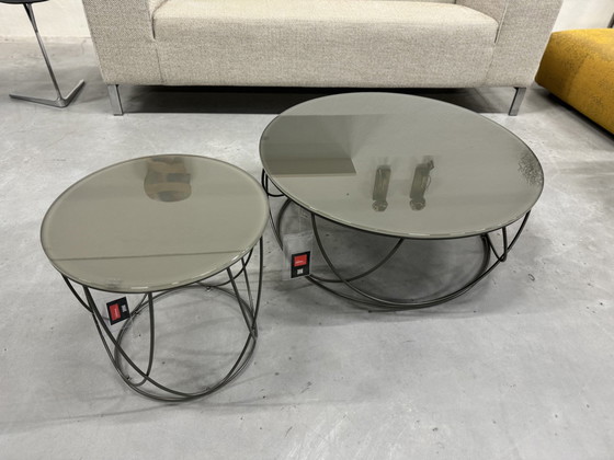 Image 1 of Rolf Benz 8770 Coffee Table Set Umbra Gray Glass