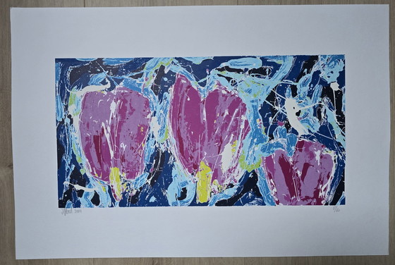 Image 1 of Ad van Hassel - Tulips Magenta