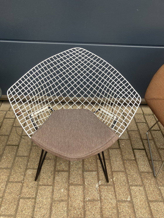 Image 1 of 5x Knoll Bertoia chaise Diamond tapissée