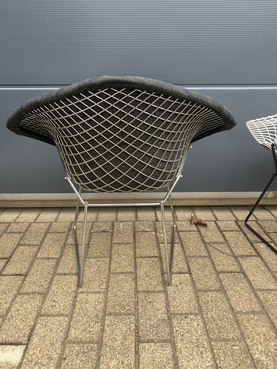 Image 1 of 5x Knoll Bertoia chaise Diamond tapissée