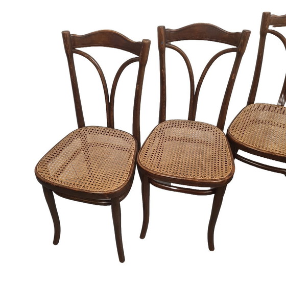 Image 1 of Thonet Dining Chairs With Webbing, From 1906