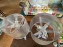 2x Kartell Bourgie Table Lamp