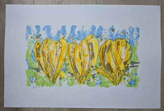 Image 1 of Ad van Hassel - Tulipes jaunes