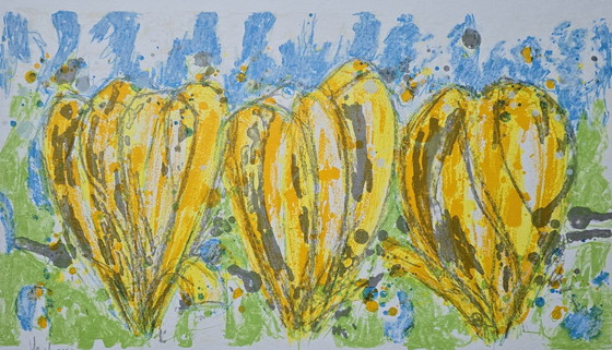 Image 1 of Ad van Hassel - Tulipes jaunes