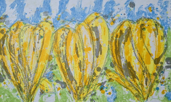 Image 1 of Ad van Hassel - Tulipes jaunes