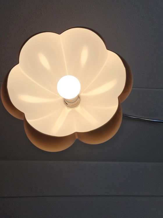 Image 1 of Herda arc lamp mushroom/flower