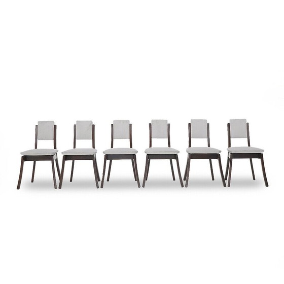 Image 1 of Set of 6 vintage chairs in solid wood and gray velvet by Angelo Mangiarotti for La Sorgente del Mobile, 1970