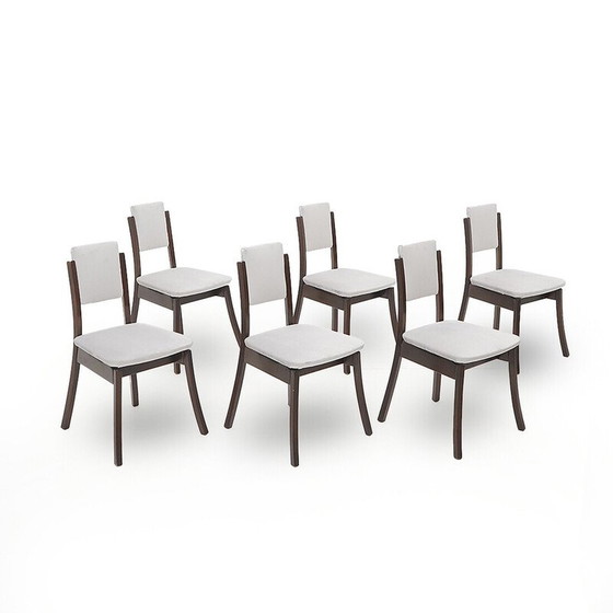 Image 1 of Set of 6 vintage chairs in solid wood and gray velvet by Angelo Mangiarotti for La Sorgente del Mobile, 1970