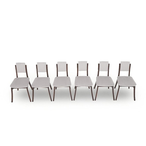 Image 1 of Set of 6 vintage chairs in solid wood and gray velvet by Angelo Mangiarotti for La Sorgente del Mobile, 1970