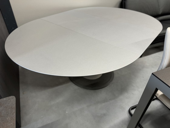 Image 1 of Leolux Trias extendable dining room table gray D130