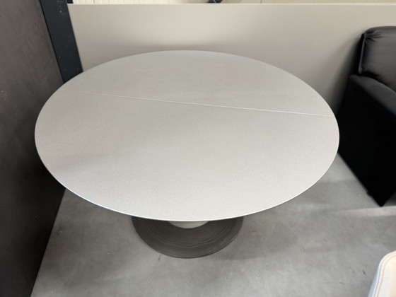 Image 1 of Leolux Trias extendable dining room table gray D130