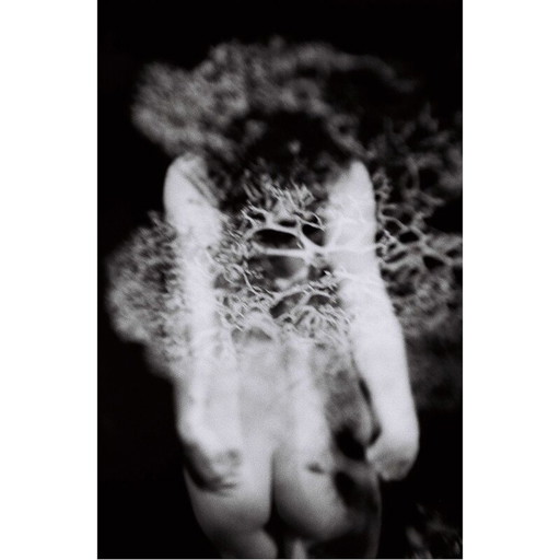 Cuadro vintage Mouvements Naturels 02 de Meïdhy Bichon, 2019