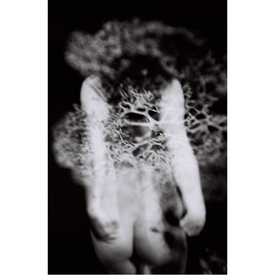 Image 1 of Dipinto vintage Mouvements Naturels 02 di Meïdhy Bichon, 2019