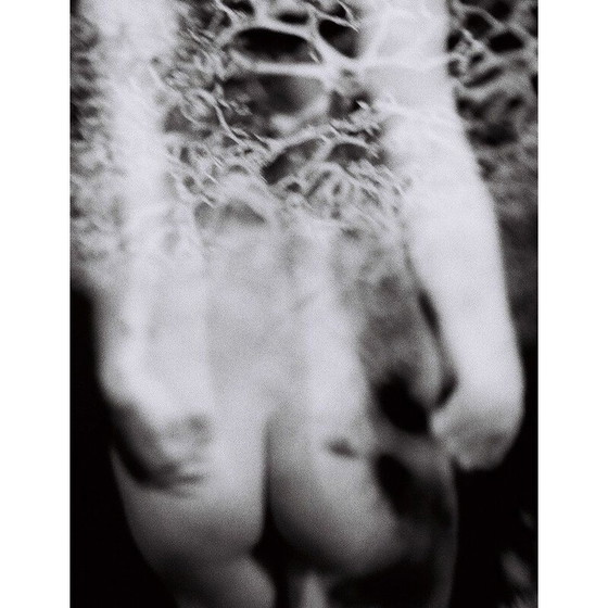 Image 1 of Dipinto vintage Mouvements Naturels 02 di Meïdhy Bichon, 2019