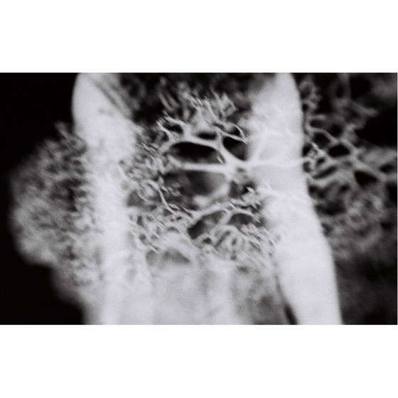 Image 1 of Dipinto vintage Mouvements Naturels 02 di Meïdhy Bichon, 2019